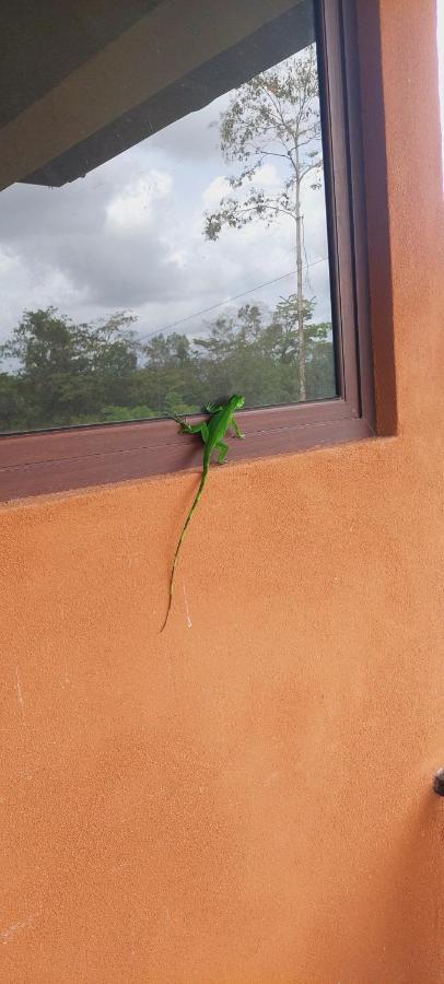 Green Leaf House La Fortuna Kültér fotó